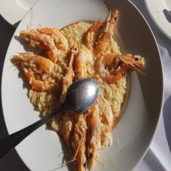 images/piata/psiart-piata (35).jpg